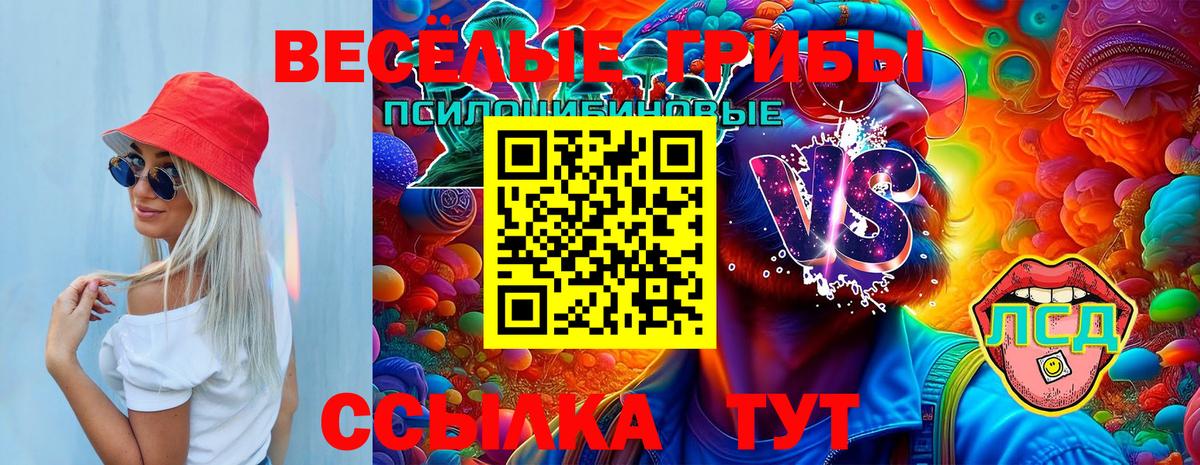 Галлюциногенные грибы Magic Shrooms Шахты