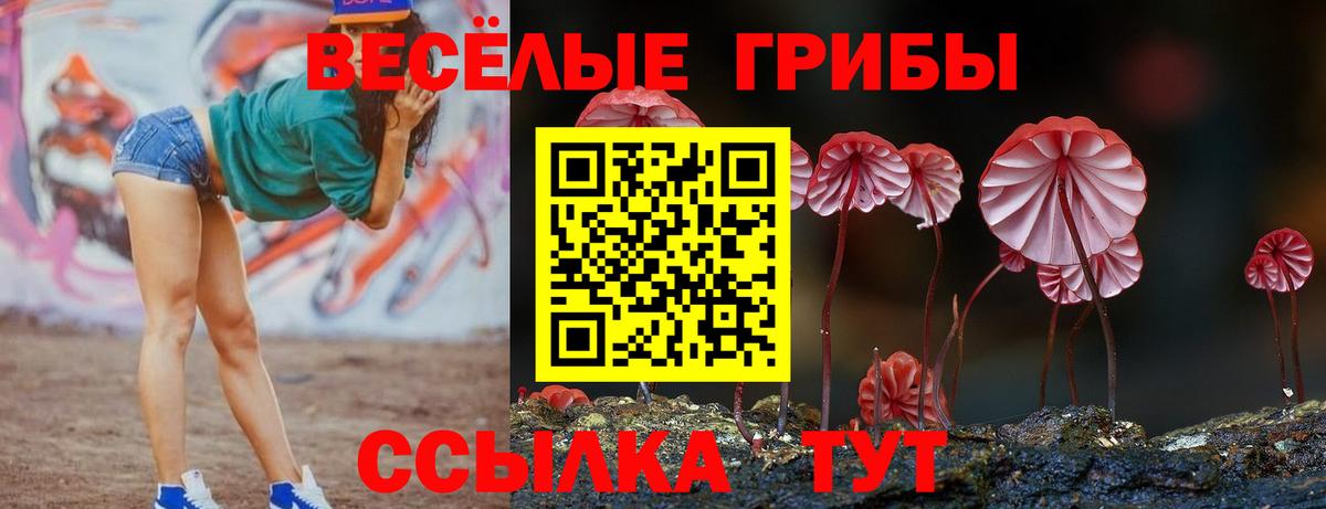 Шахты  Псилоцибиновые грибы ЛСД  Галлюциногенные грибы мухоморы  Вход с VPN 